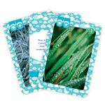 Carti si Birotica - Carti - Carti pentru copii - Basme si povesti - Fenomene ale naturii. Tipuri de nori - Infinity.ro