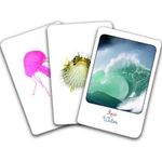 Carti si Birotica - Carti - Carti pentru copii - Basme si povesti - Clasificare. pamant, aer, apa - Montessori - Infinity.ro