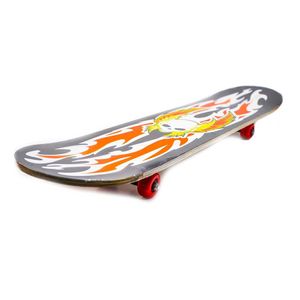 Sport si Outdoor - Role, trotinete si skateboard - Placi de rulat - Infinity.ro