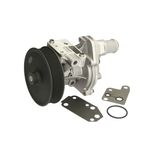 Auto si Moto - Piese auto si accesorii - Piese auto - Componente motor si accesorii - Pompa apa FORD TRANSIT platou sasiu FM FN AIRTEX 1899 - Infinity.ro