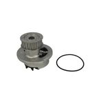 Auto si Moto - Piese auto si accesorii - Piese auto - Componente motor si accesorii - Pompa apa OPEL ASTRA F Cabriolet 53 B AIRTEX 1164 - Infinity.ro