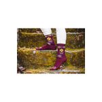 Fashion, accesorii si bijuterii - Femei - Lenjerie si pijamale femei - Sosete si ciorapi femei - Sosete antibacteriene merino Ethno Fine Bordeaux, 35-38 EU - Infinity.ro