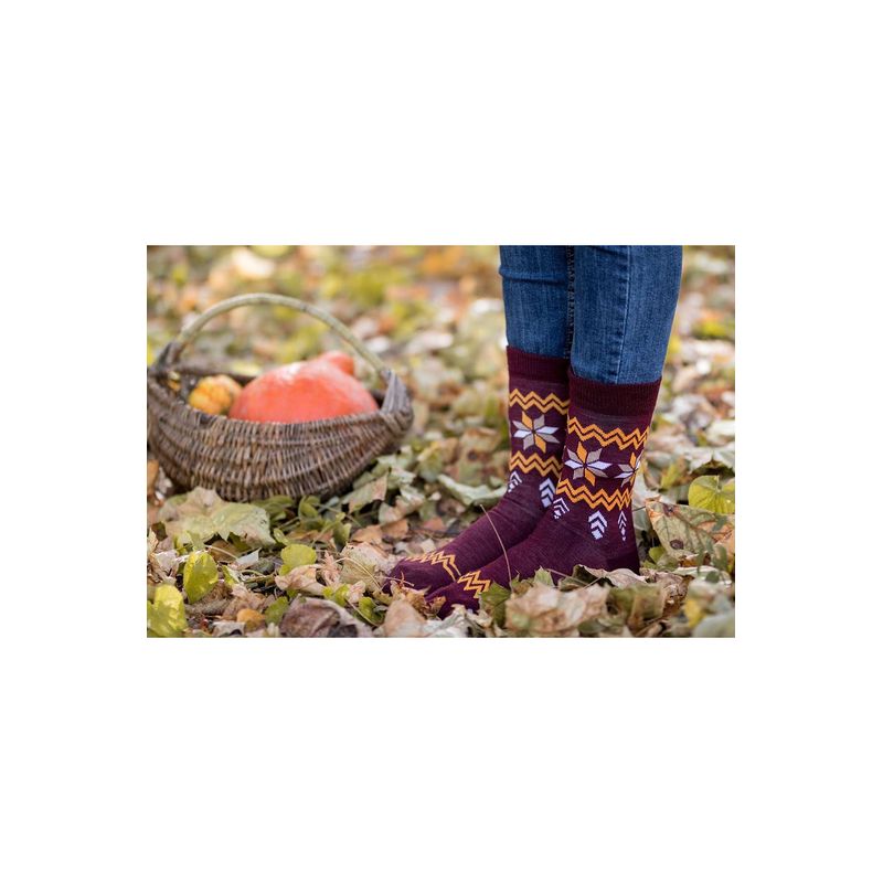 Fashion, accesorii si bijuterii - Femei - Lenjerie si pijamale femei - Sosete si ciorapi femei - Sosete antibacteriene din lana merino Snow Bordo, 39-42 EU - Infinity.ro