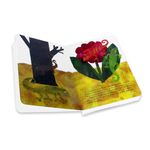 Carti si Birotica - Carti - Carti pentru copii - Basme si povesti - Cameleonul - Eric Carle - Infinity.ro