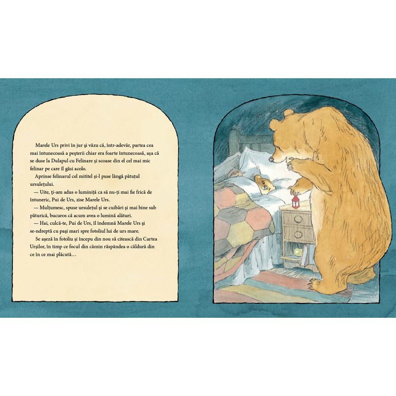 Carti si Birotica - Carti - Carti pentru copii - Basme si povesti - Nu ti-e somn, ursuletule? - de Martin Waddell, ilustratii de Barbara Firth - Infinity.ro