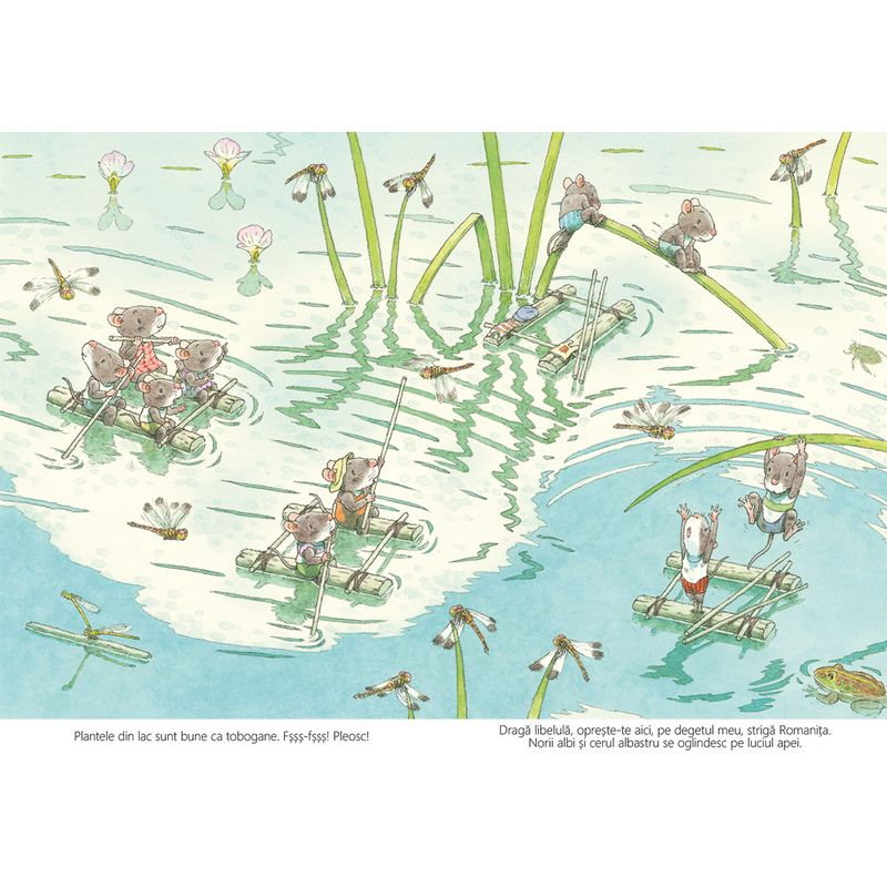 Carti si Birotica - Carti - Carti pentru copii - Basme si povesti - Familia soricel si lacul libelulelor - Kazuo Iwamura - Infinity.ro