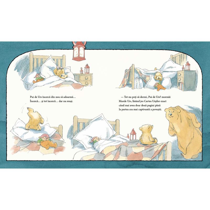 Carti si Birotica - Carti - Carti pentru copii - Basme si povesti - Nu ti-e somn, ursuletule? - de Martin Waddell, ilustratii de Barbara Firth - Infinity.ro