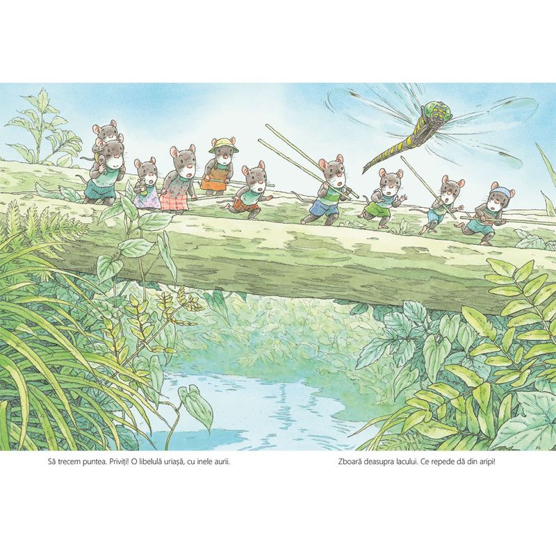 Carti si Birotica - Carti - Carti pentru copii - Basme si povesti - Familia soricel si lacul libelulelor - Kazuo Iwamura - Infinity.ro