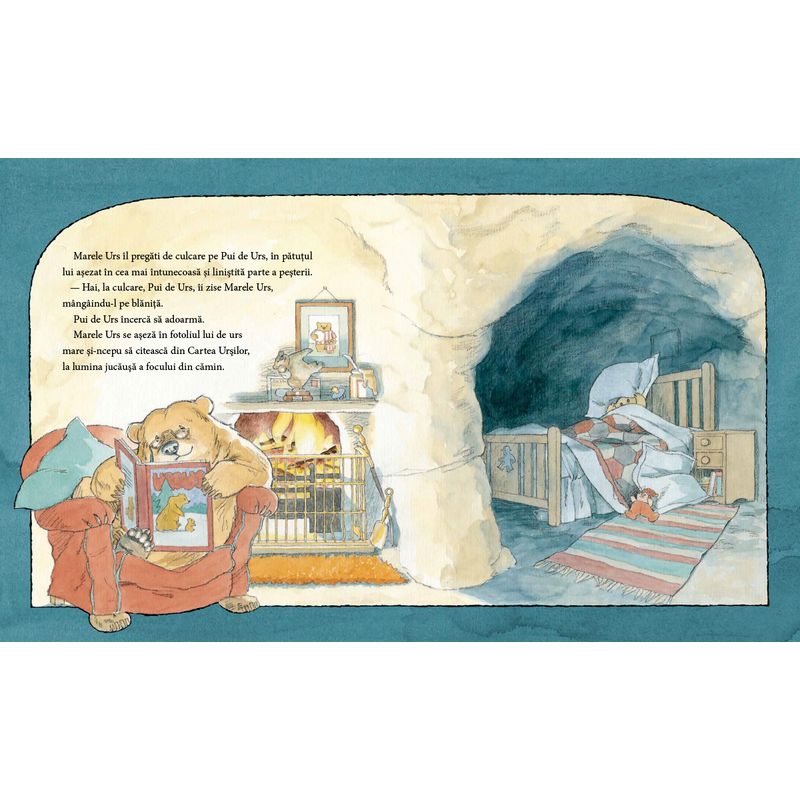 Carti si Birotica - Carti - Carti pentru copii - Basme si povesti - Nu ti-e somn, ursuletule? - de Martin Waddell, ilustratii de Barbara Firth - Infinity.ro