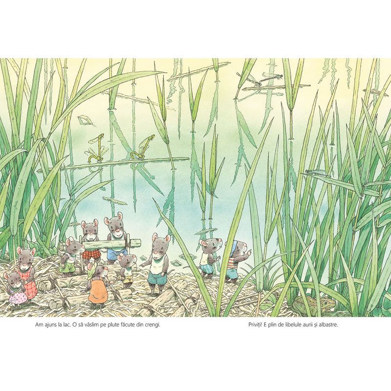 Carti si Birotica - Carti - Carti pentru copii - Basme si povesti - Familia soricel si lacul libelulelor - Kazuo Iwamura - Infinity.ro