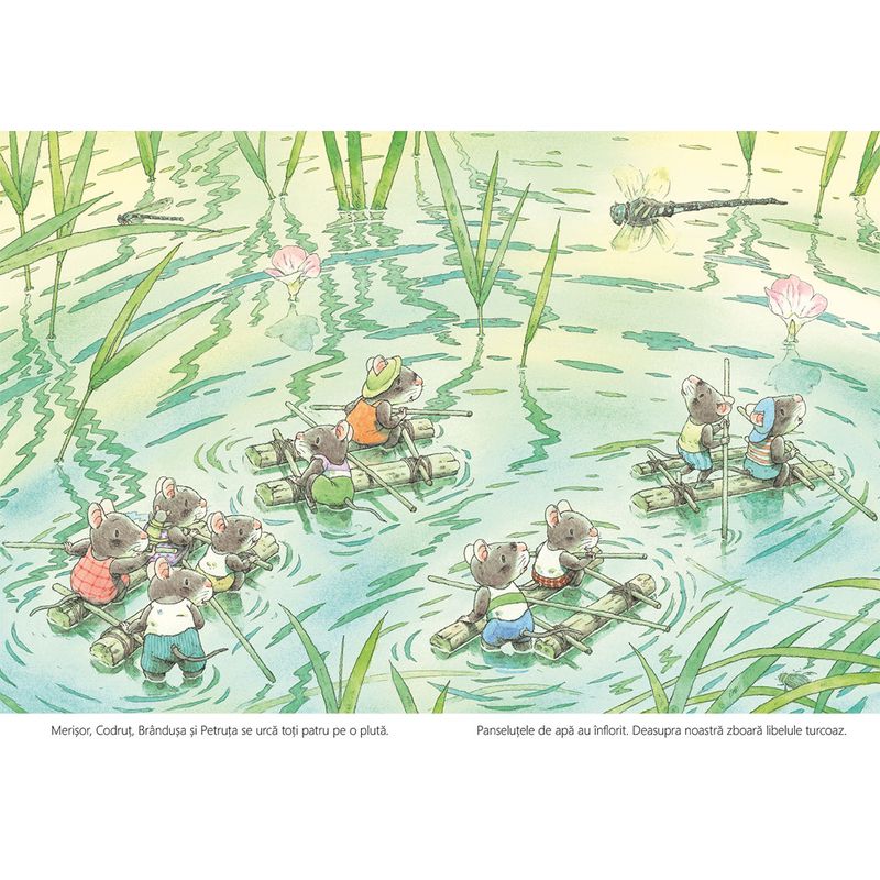 Carti si Birotica - Carti - Carti pentru copii - Basme si povesti - Familia soricel si lacul libelulelor - Kazuo Iwamura - Infinity.ro