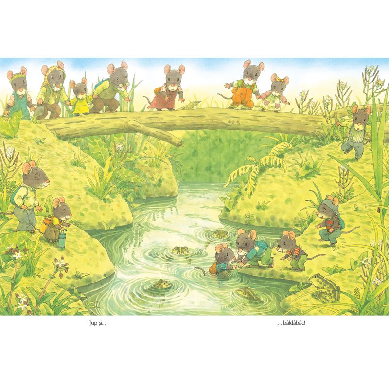 Carti si Birotica - Carti - Carti pentru copii - Basme si povesti - La picnic cu familia Soricel - de Kazuo Iwamura - Infinity.ro