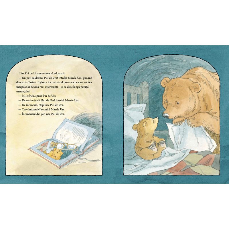 Carti si Birotica - Carti - Carti pentru copii - Basme si povesti - Nu ti-e somn, ursuletule? - de Martin Waddell, ilustratii de Barbara Firth - Infinity.ro