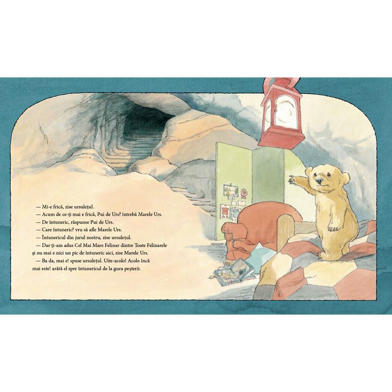 Carti si Birotica - Carti - Carti pentru copii - Basme si povesti - Nu ti-e somn, ursuletule? - de Martin Waddell, ilustratii de Barbara Firth - Infinity.ro