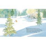 Carti si Birotica - Carti - Carti pentru copii - Basme si povesti - Nu ti-e somn, ursuletule? - de Martin Waddell, ilustratii de Barbara Firth - Infinity.ro