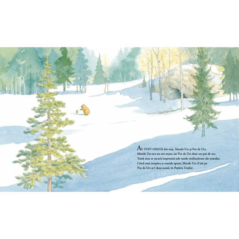 Carti si Birotica - Carti - Carti pentru copii - Basme si povesti - Nu ti-e somn, ursuletule? - de Martin Waddell, ilustratii de Barbara Firth - Infinity.ro