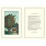 Carti si Birotica - Carti - Carti pentru copii - Basme si povesti - Fabule de Arnold Lobel - Infinity.ro