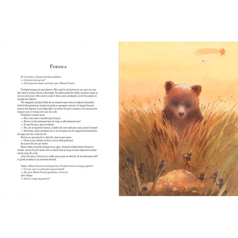 Carti si Birotica - Carti - Carti pentru copii - Basme si povesti - Cand vine Craciunul? de Antonie Schneider - Infinity.ro