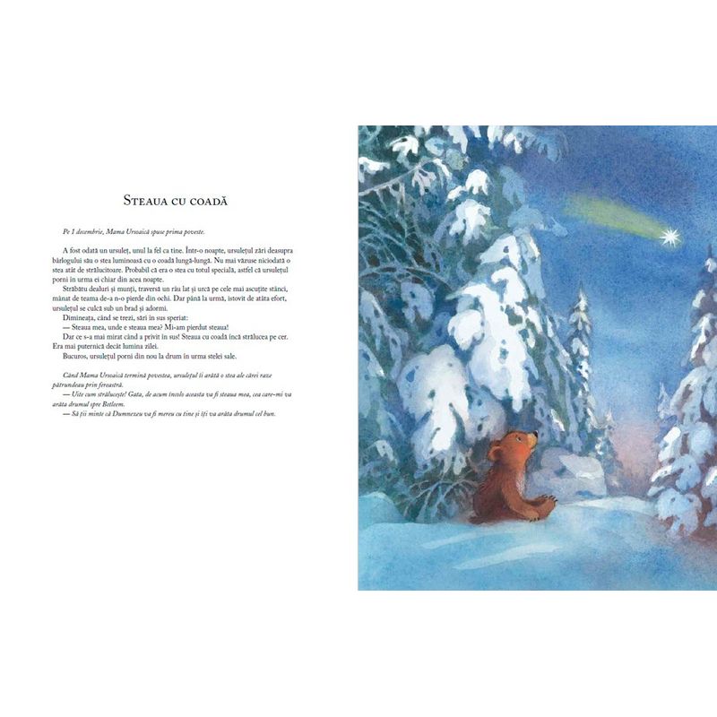 Carti si Birotica - Carti - Carti pentru copii - Basme si povesti - Cand vine Craciunul? de Antonie Schneider - Infinity.ro