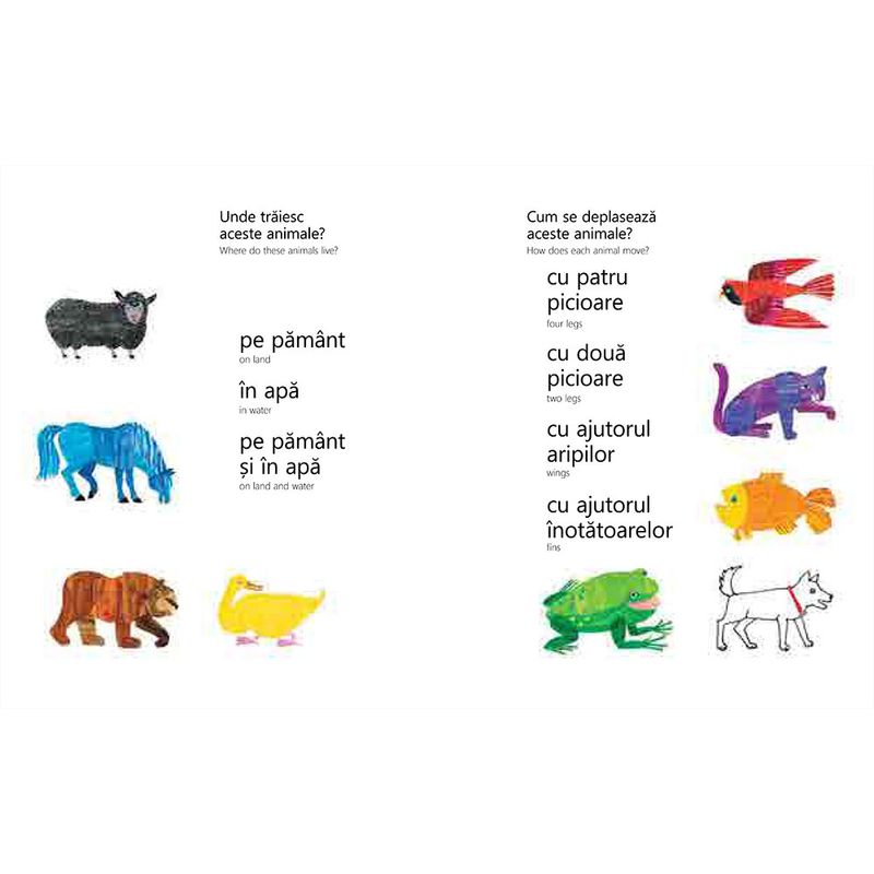 Carti si Birotica - Carti - Carti pentru copii - Activitati extracurriculare - Ursule Brun activitati - necartonata - Bill Martin Jr. - Infinity.ro