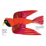 Carti si Birotica - Carti - Carti pentru copii - Activitati extracurriculare - Ursule Brun activitati - necartonata - Bill Martin Jr. - Infinity.ro