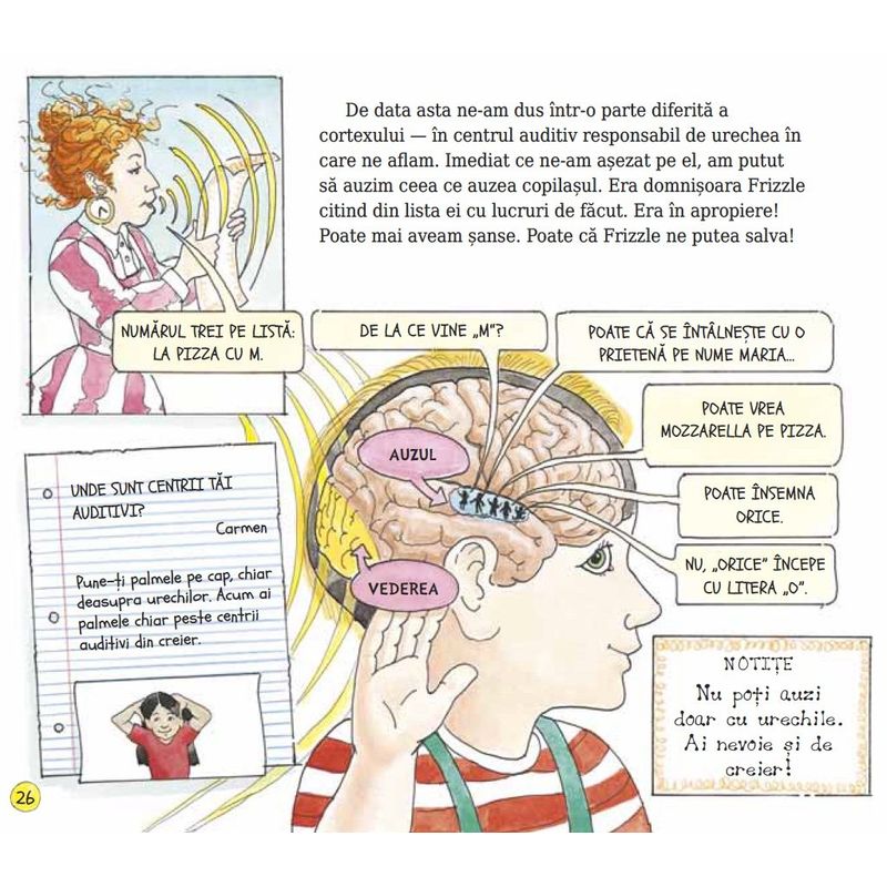 Carti si Birotica - Carti - Carti pentru copii - Basme si povesti - Autobuzul magic. Sa exploram simturile - Joanna Cole - Infinity.ro