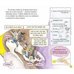 Carti si Birotica - Carti - Carti pentru copii - Basme si povesti - Autobuzul magic. Sa exploram simturile - Joanna Cole - Infinity.ro