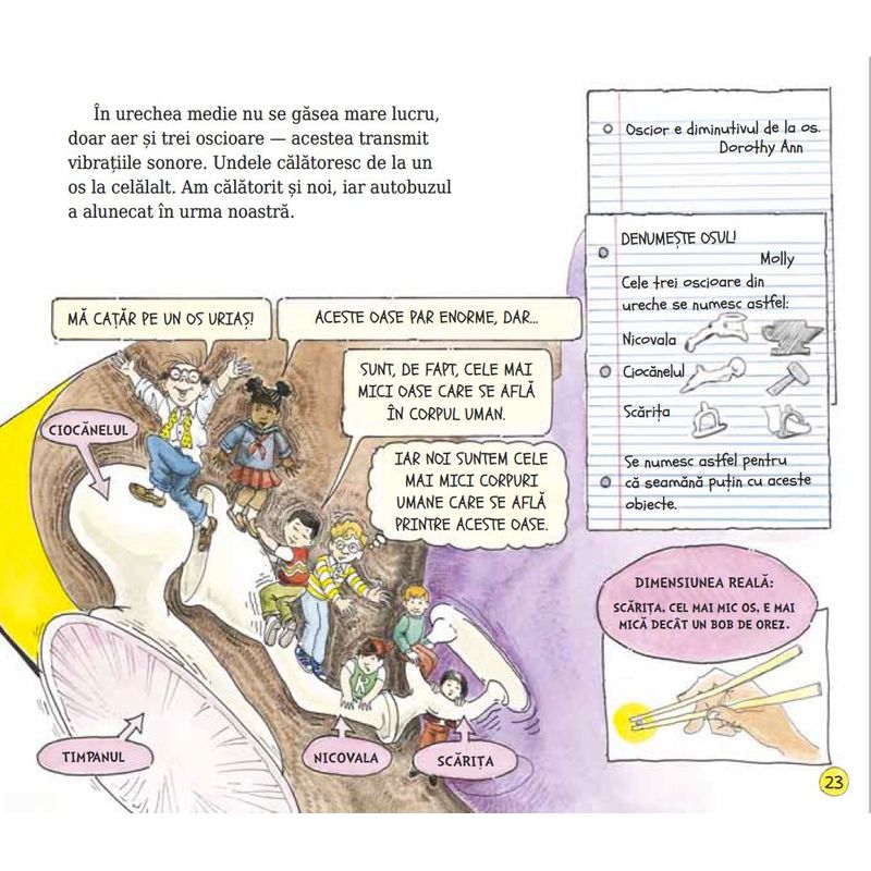Carti si Birotica - Carti - Carti pentru copii - Basme si povesti - Autobuzul magic. Sa exploram simturile - Joanna Cole - Infinity.ro