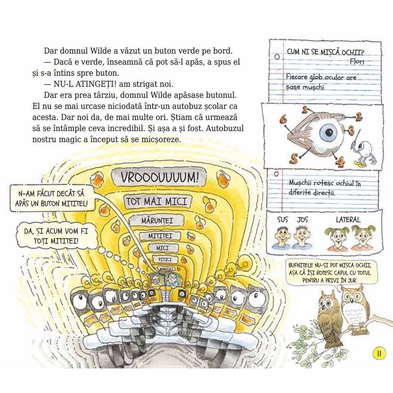 Carti si Birotica - Carti - Carti pentru copii - Basme si povesti - Autobuzul magic. Sa exploram simturile - Joanna Cole - Infinity.ro