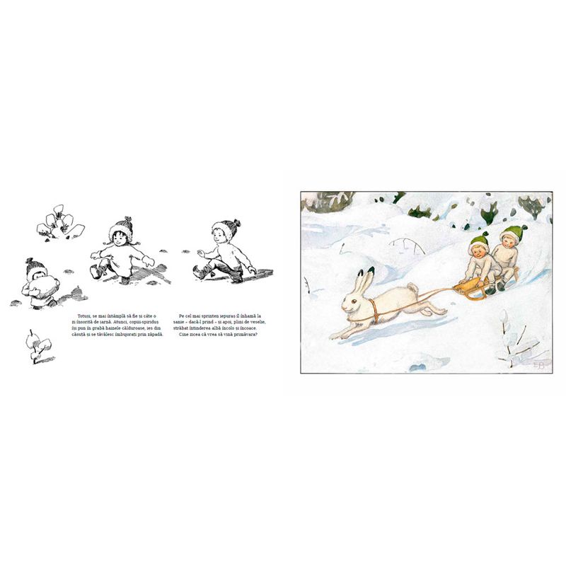 Carti si Birotica - Carti - Carti pentru copii - Basme si povesti - Copiii padurii - ELSA BESKOW - Infinity.ro