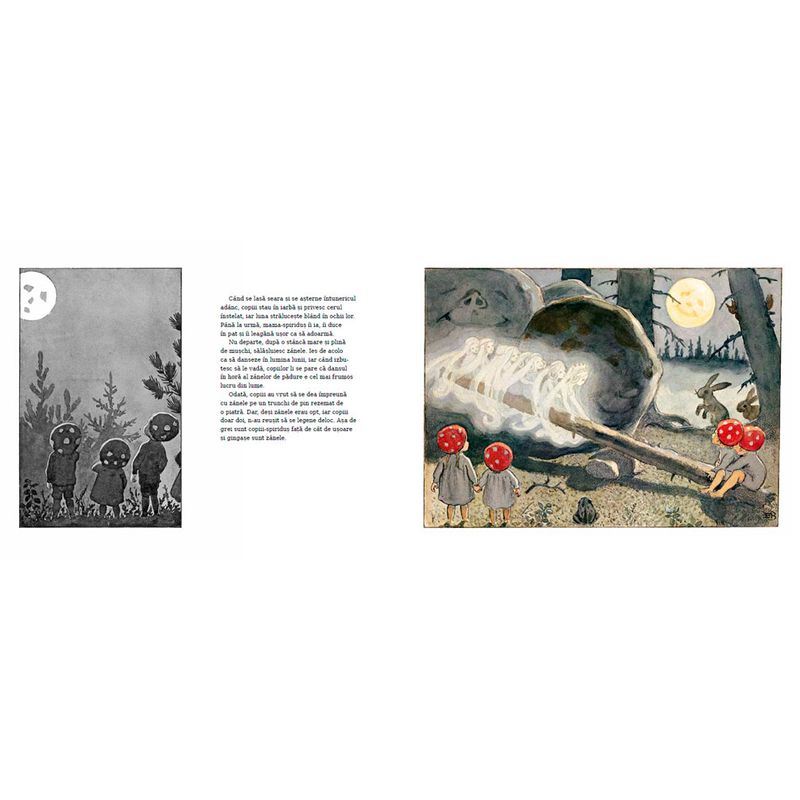 Carti si Birotica - Carti - Carti pentru copii - Basme si povesti - Copiii padurii - ELSA BESKOW - Infinity.ro