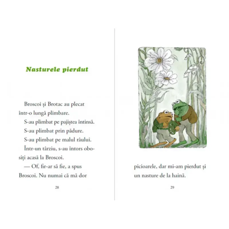 Carti si Birotica - Carti - Carti pentru copii - Basme si povesti - Broscoi si Brotac sunt prieteni, de Arnold Lobel - Infinity.ro