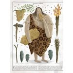 Carti si Birotica - Carti - Carti pentru copii - Basme si povesti - Albinele - carte gigantica, Piotr Socha, Wojciech Grajkowski - Infinity.ro