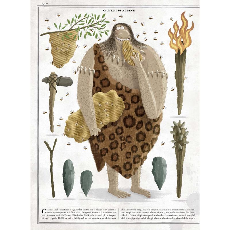 Carti si Birotica - Carti - Carti pentru copii - Basme si povesti - Albinele - carte gigantica, Piotr Socha, Wojciech Grajkowski - Infinity.ro