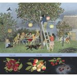 Carti si Birotica - Carti - Carti pentru copii - Basme si povesti - Sarbatoarea fructelor - Gerda Muller - Infinity.ro