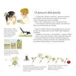 Carti si Birotica - Carti - Carti pentru copii - Basme si povesti - Sarbatoarea fructelor - Gerda Muller - Infinity.ro