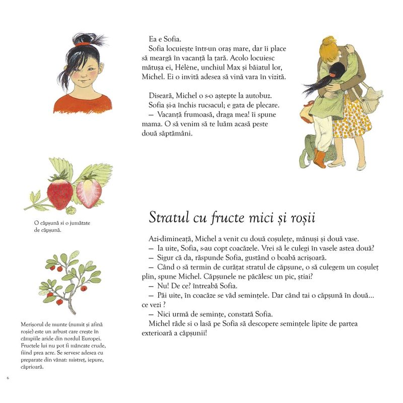 Carti si Birotica - Carti - Carti pentru copii - Basme si povesti - Sarbatoarea fructelor - Gerda Muller - Infinity.ro