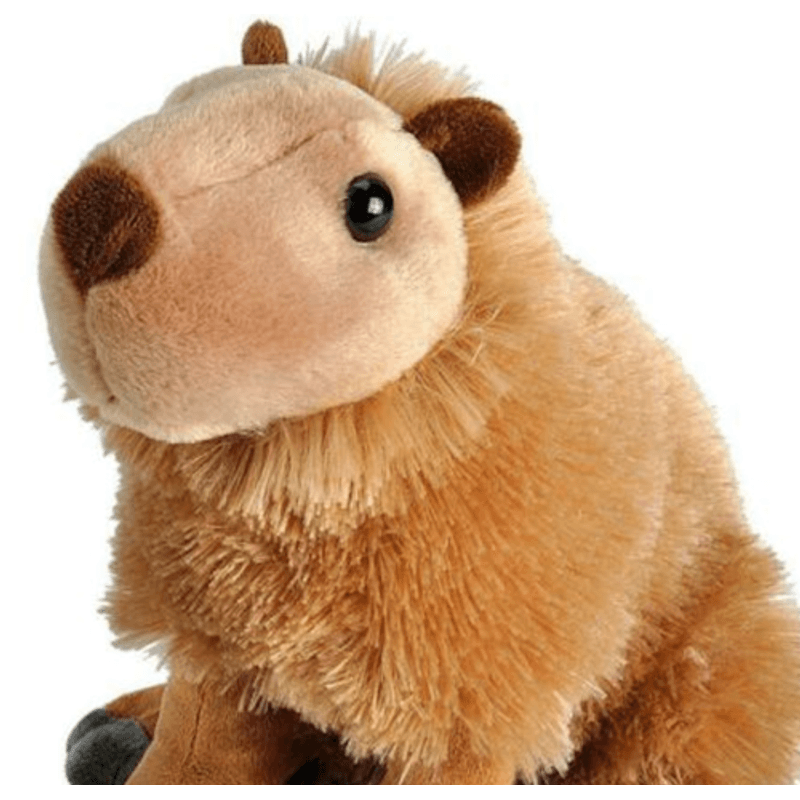 Jucarii, Copii si Bebe - Jucarii si jocuri - Jucarii de plus - Capibara - Jucarie Plus Wild Republic 30 cm - Infinity.ro