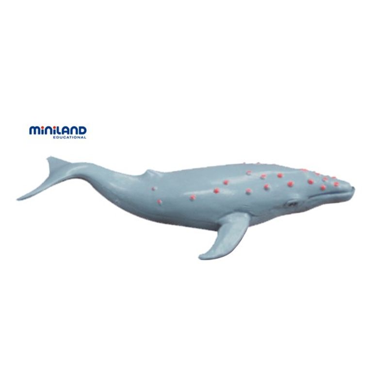 Jucarii, Copii si Bebe - Jucarii si jocuri - Figurine - Animale marine set de 8 figurine - Miniland - Infinity.ro