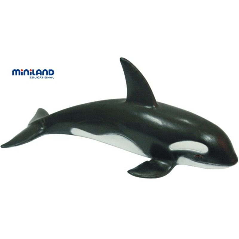 Jucarii, Copii si Bebe - Jucarii si jocuri - Figurine - Animale marine set de 8 figurine - Miniland - Infinity.ro