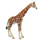 Jucarii, Copii si Bebe - Jucarii si jocuri - Figurine - Girafa mascul - Figurina pentru copii - Infinity.ro