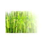 Ingrijire personala si Cosmetice - Sanatate si wellness - Suplimente alimentare - Vitamine si minerale - Francois Nature, Bambus Tabashir pudra 100 grame - Infinity.ro