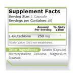 Ingrijire personala si Cosmetice - Sanatate si wellness - Suplimente alimentare - Vitamine si minerale - Pure Nutrition USA L-Glutation, L-Glutathione, 250 mg, 60 capsule - Infinity.ro