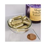 Ingrijire personala si Cosmetice - Sanatate si wellness - Suplimente alimentare - Vitamine si minerale - Swanson Mega Tribulus Extract, 250mg - 120 Capsule - Infinity.ro