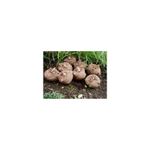 Ingrijire personala si Cosmetice - Sanatate si wellness - Suplimente alimentare - Vitamine si minerale - Belle&Bio Konjac Bio (Glucomannan Bio) 120 capsule - Infinity.ro