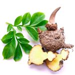 Ingrijire personala si Cosmetice - Sanatate si wellness - Suplimente alimentare - Vitamine si minerale - Belle&Bio Konjac Bio (Glucomannan Bio) 120 capsule - Infinity.ro
