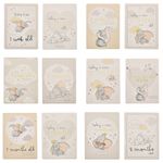 Casa si Gradina - Decoratiuni - Obiecte decorative - Decoratiuni camera copilului - Set cartonase tip milestone pentru primele evenimente ale bebelusului - Dumbo - Infinity.ro