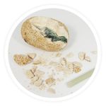 Jucarii, Copii si Bebe - Jucarii si jocuri - Jucarii & jocuri educative - Jocuri si jucarii educative - Ou Dino - Set stiinta copii - Infinity.ro