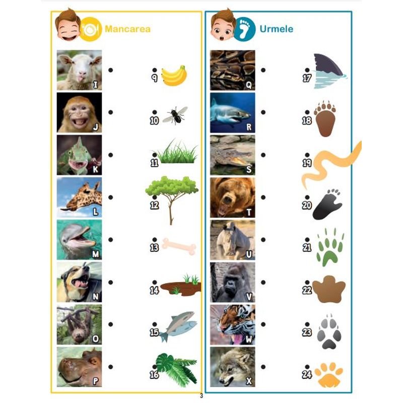 Jucarii, Copii si Bebe - Jucarii si jocuri - Jucarii & jocuri educative - Jucarii interactive - Lanterna 3-in-1 - Micul Explorator - Infinity.ro