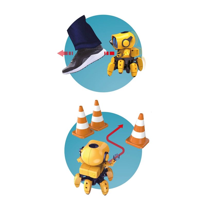 Jucarii, Copii si Bebe - Jucarii si jocuri - Vehicule si jucarii cu telecomanda - Roboti de jucarie - Robotelul Tibo - Set robot cu senzori si 6 picioare - Infinity.ro